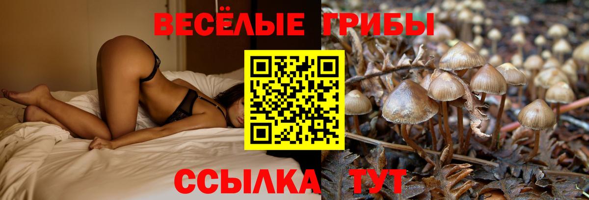 Галлюциногенные грибы Magic Shrooms Искитим